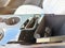 2026 Cadillac LYRIQ Premium Sport