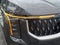2025 Kia Carnival Hybrid EX